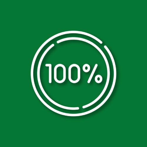icono-garantía-100%