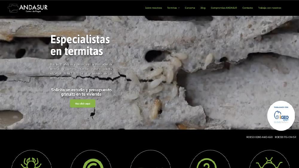 pagina-web-termitas