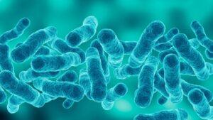 Imagen de bacteria Legionella
