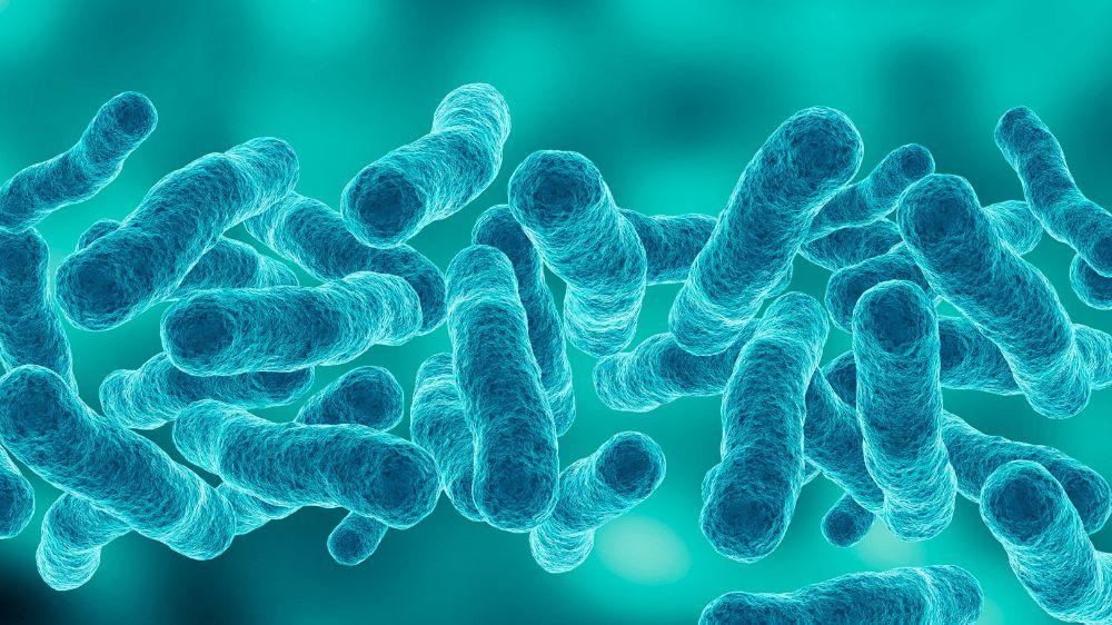Imagen de bacteria Legionella